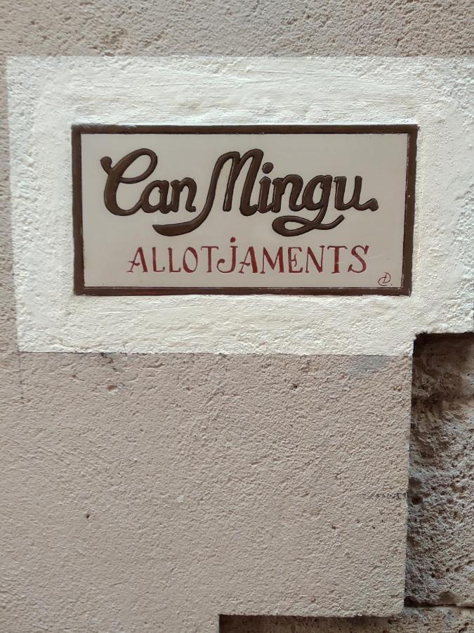 Apartament Can Mingu 1Er Pis Besalu Exterior photo